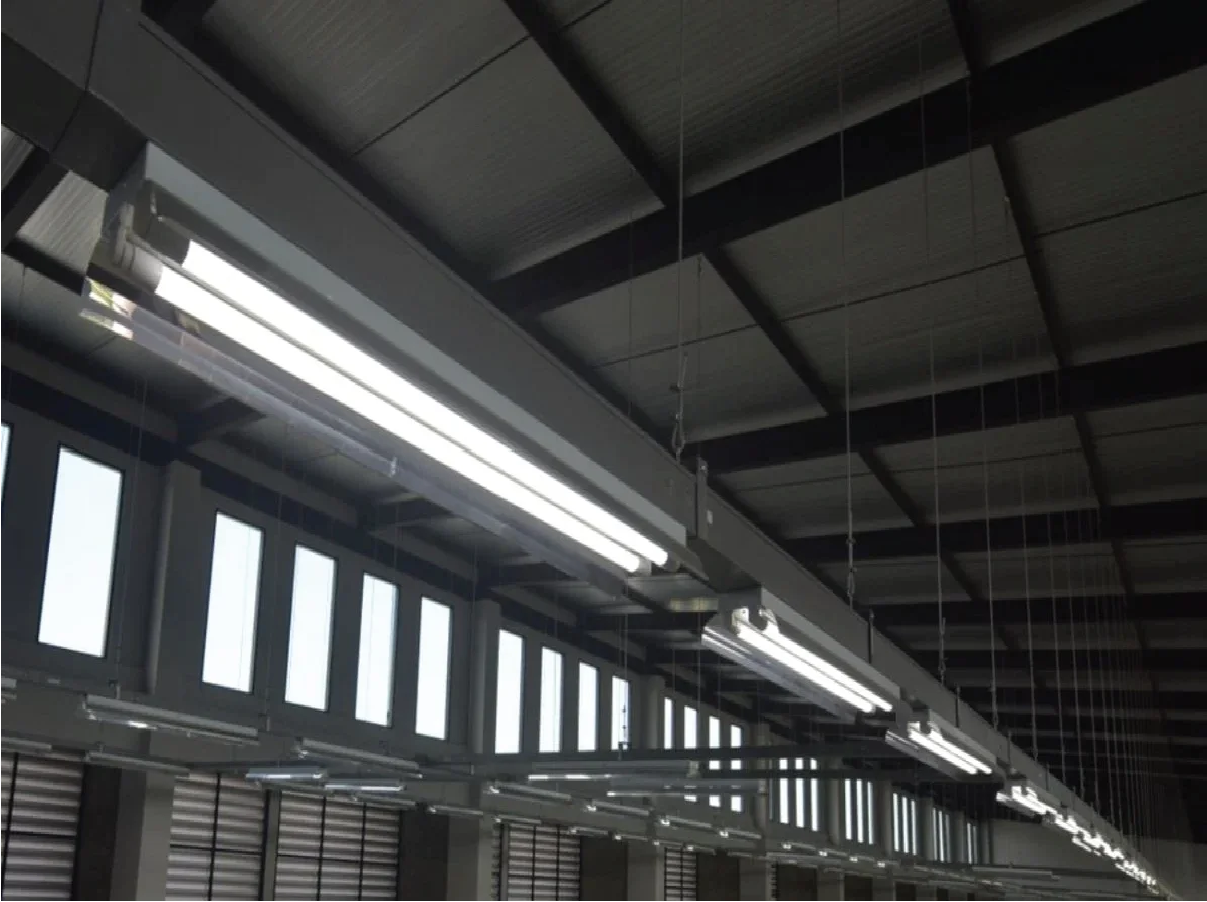Led tube light